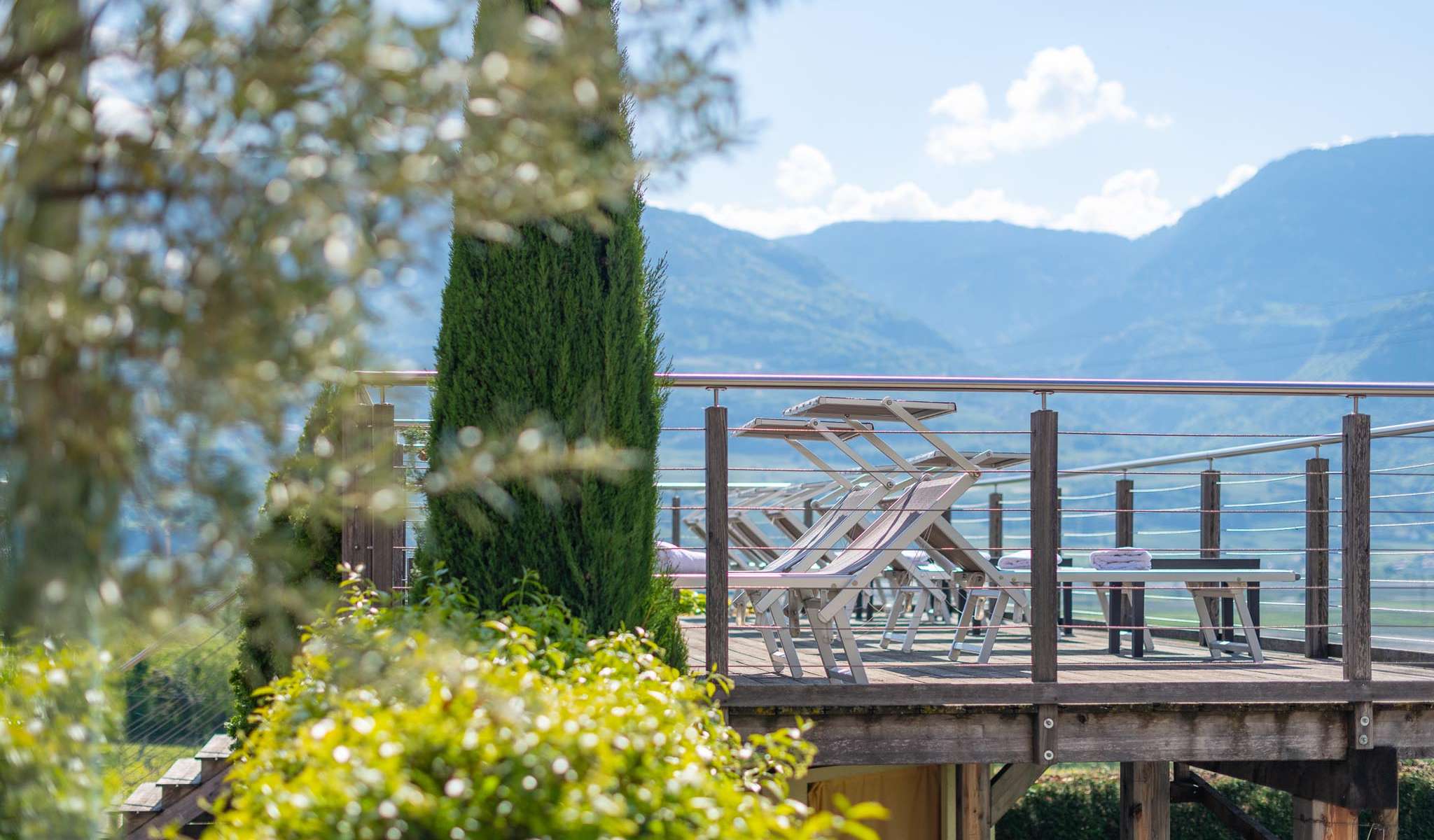 20250429-104952-DSC_0911