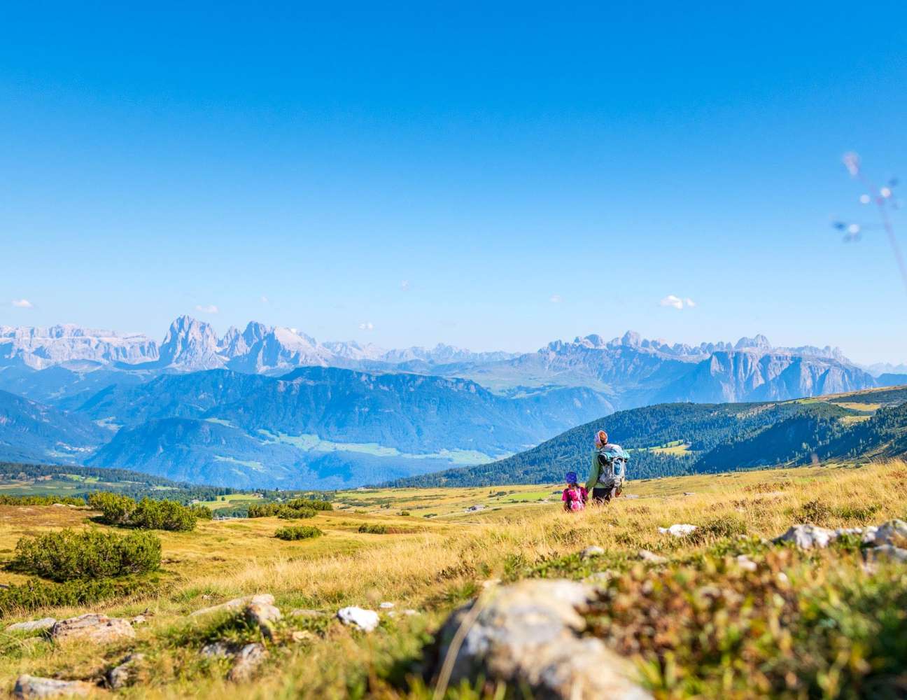 20200905155615-_8501931