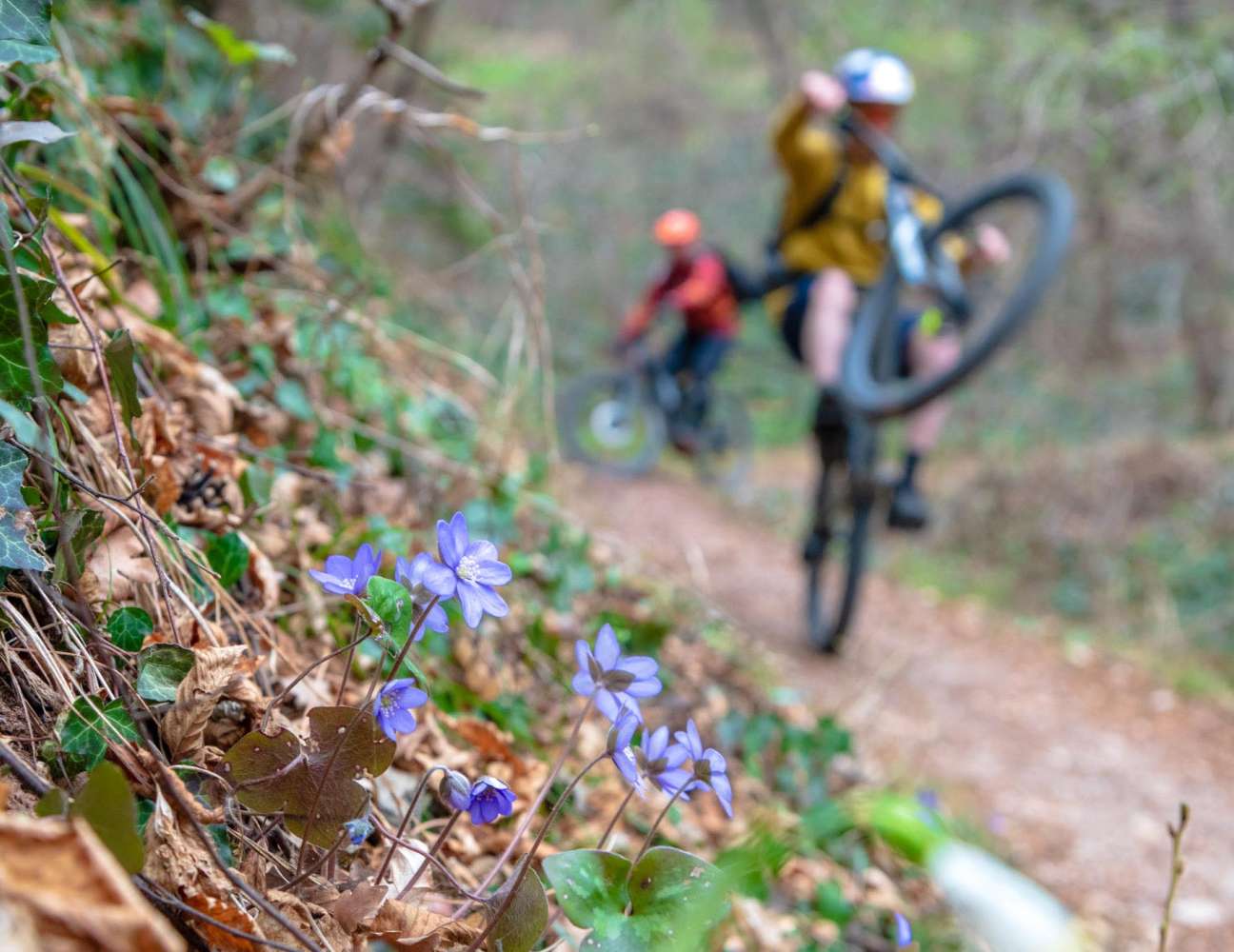 20220317161546-_8501076