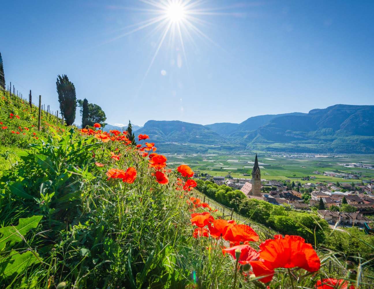 20230503094030-_8007806