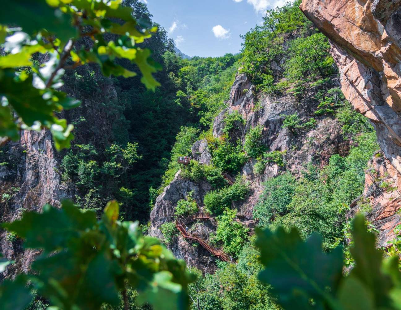 20230813123950-DSC_5861