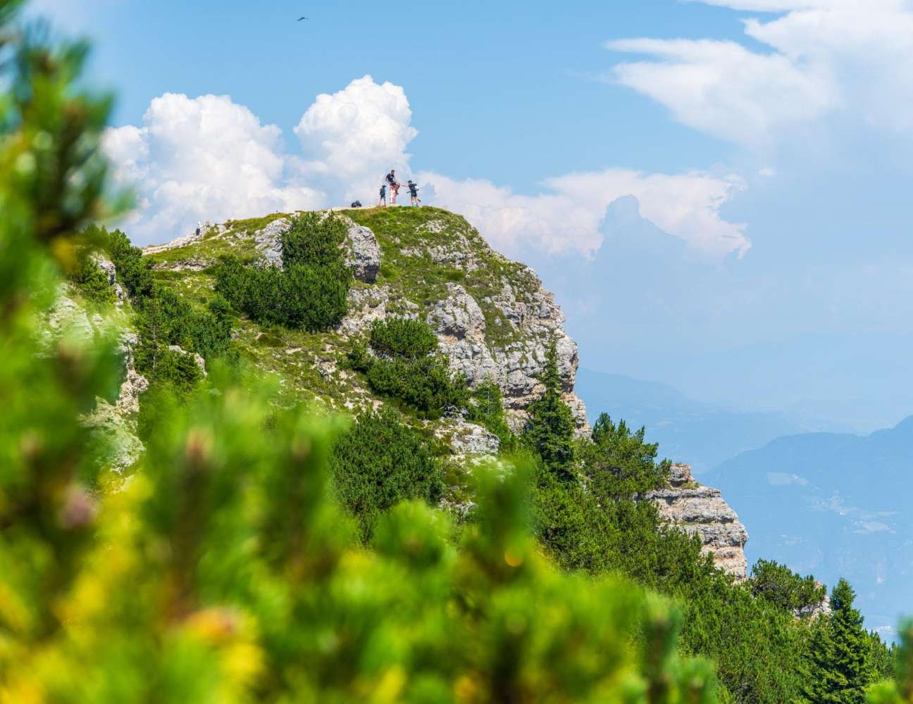 20230815135247-DSC_6383