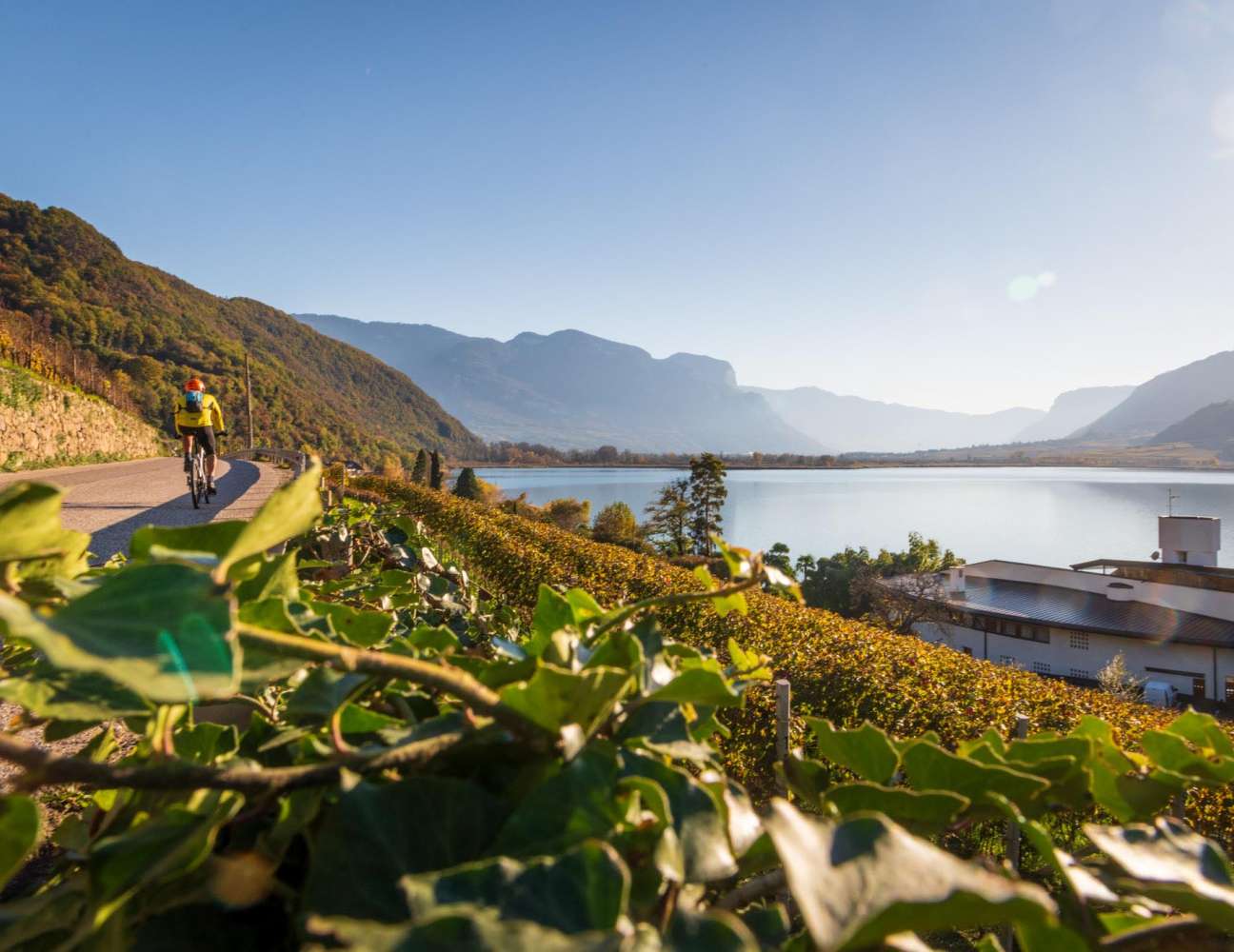 20241111143847-DSC_2956