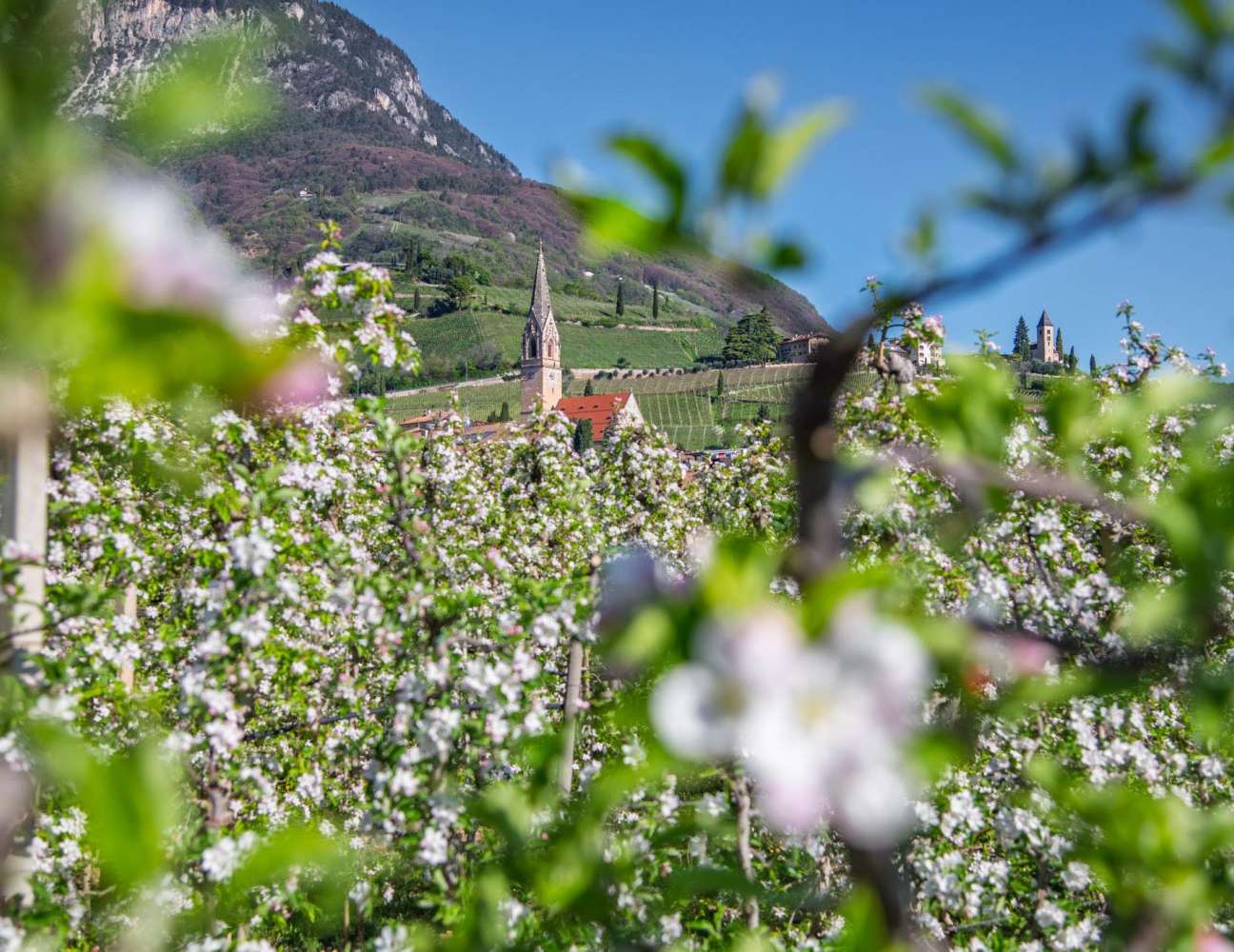 20250406094450-DSC_8699