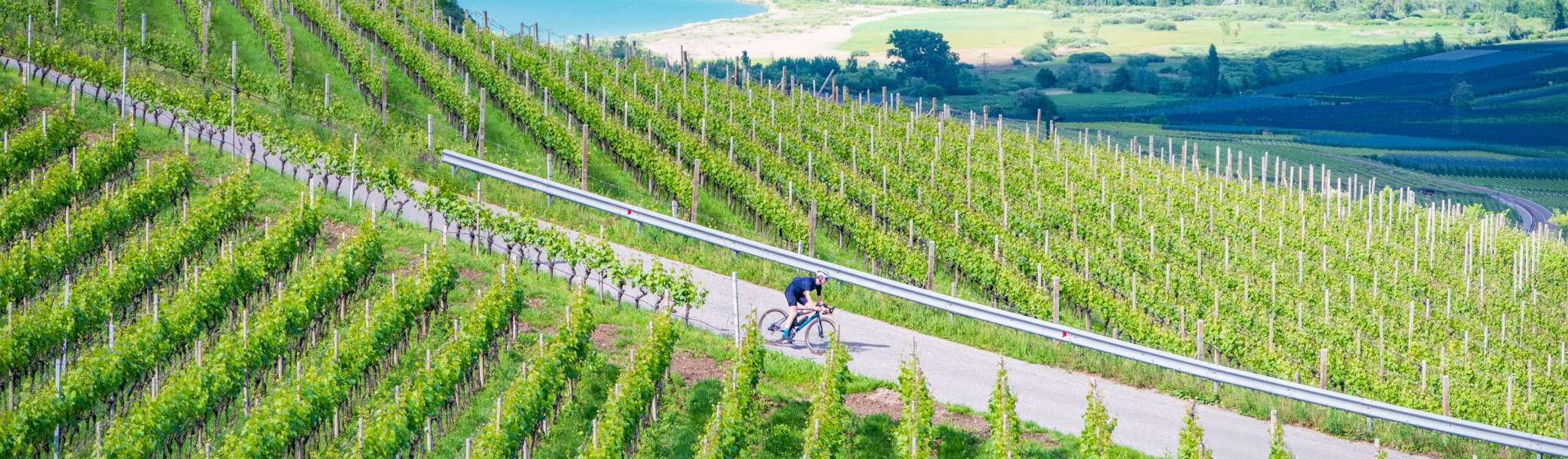 20250510163755-DSC_1222-V3