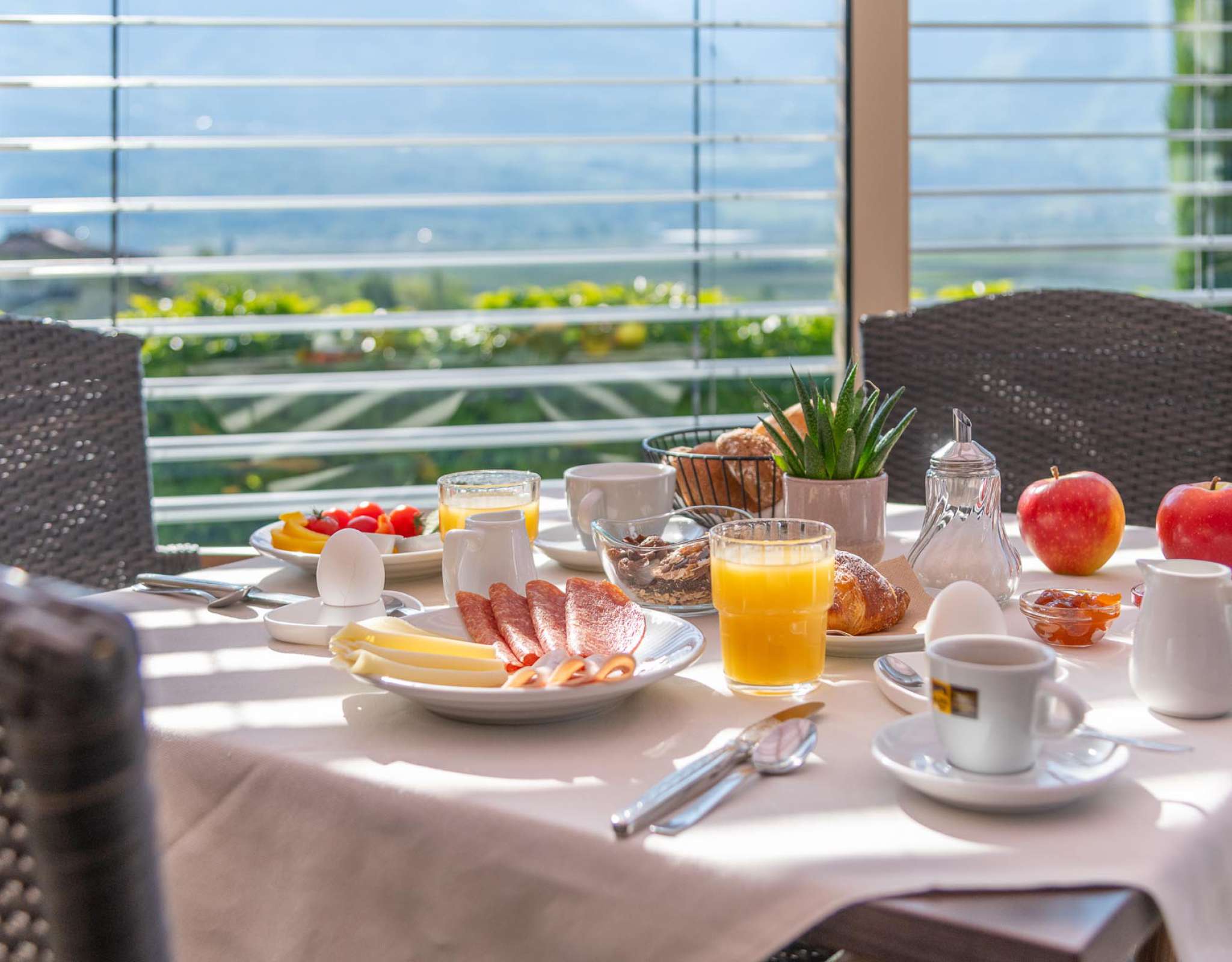 20250429-092135-DSC_0851