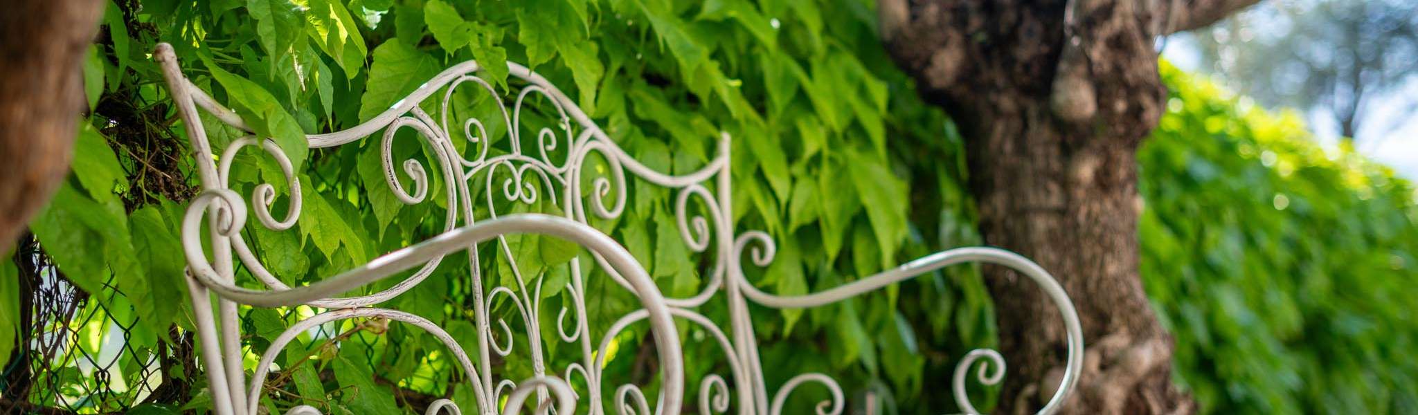 20250429-104411-DSC_0906