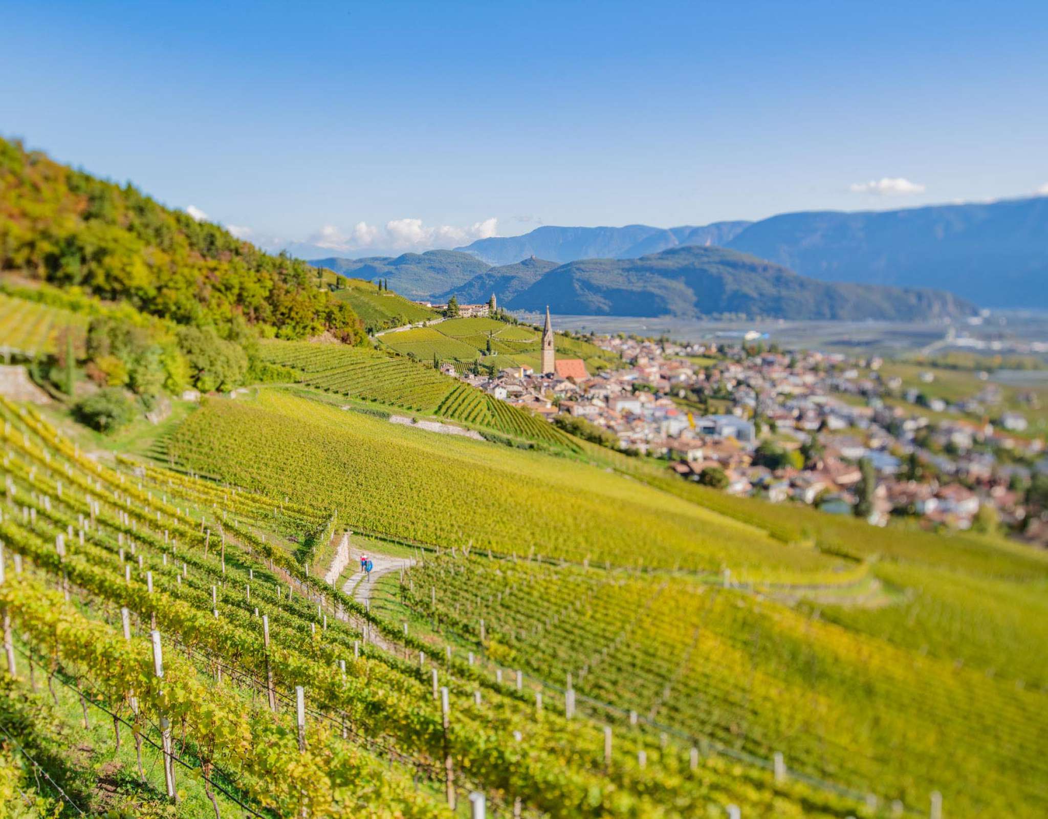 20201018104015-_8506950