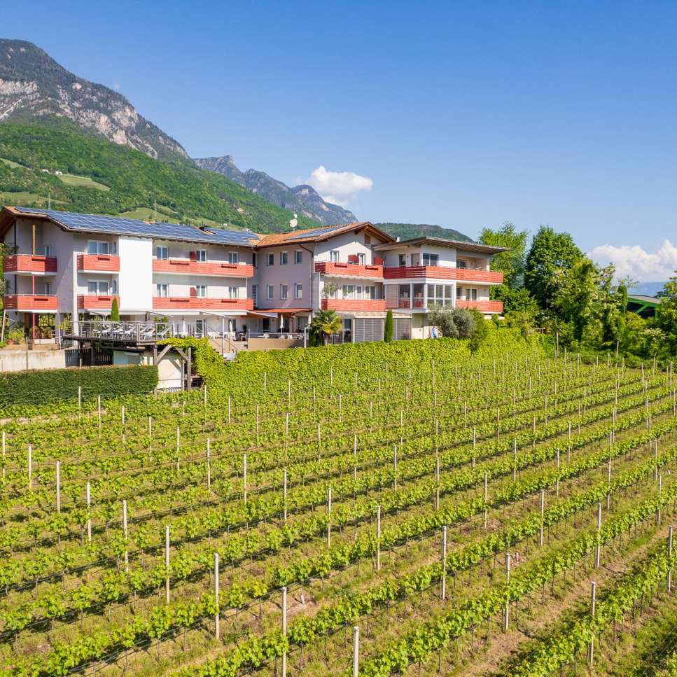 20250429-101134-DJI_0202